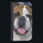 Capa Carteira Para Samsung Galaxy S4 Um buldogue inglês em Bélgica<br><div class="desc">Um buldogue inglês no � David R. Frazier de Bélgica/DanitaDelimont.com</div>