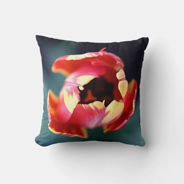 Capa de Almofada de Tulipa (Frente)