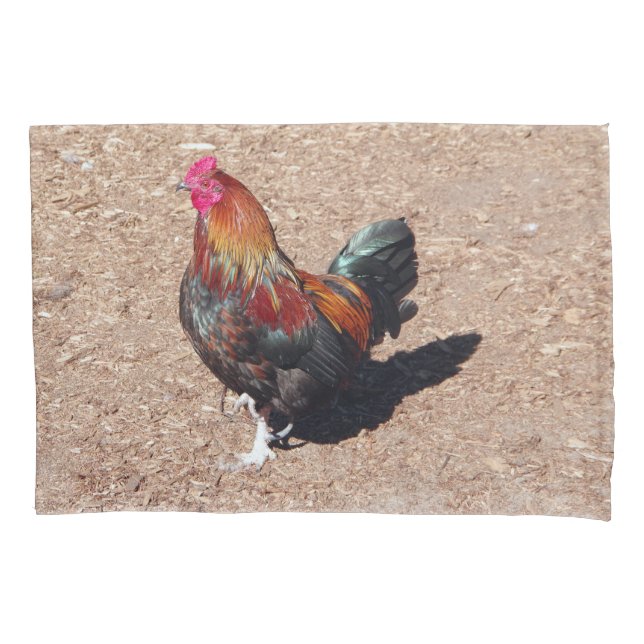 Capa de almofada Galo de Ouro (Frente)