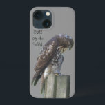 Capa de Celular - Chamado da Selva<br><div class="desc">Falcão-peregrino sentado em uma cerca. O texto "Chamado da Selva" está no canto superior esquerdo.</div>
