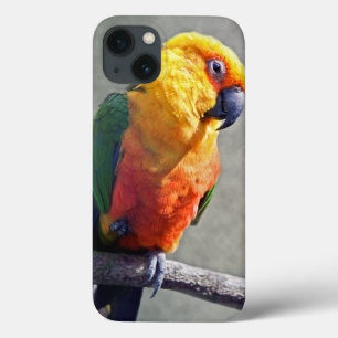 Capa de iPad Jenday Conure
