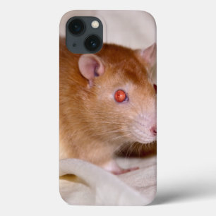 Capa de iPad Rolando