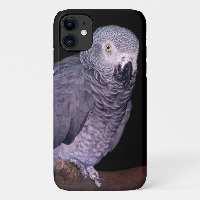 Capa de iPhone 11 para Papagaio Cinzento Africano (Verso)