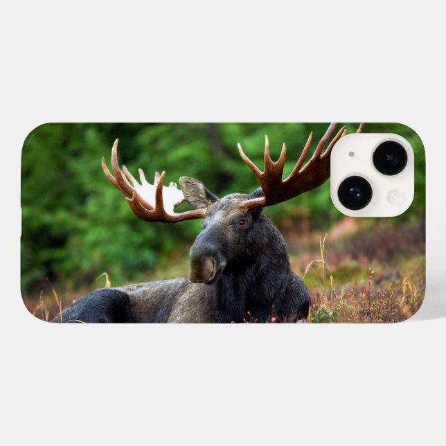 Capa de iPhone 14 Alce (Verso (horizontal))