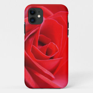 Capa de iPhone 5 Rosa Vermelha Rosas Capas de iPho