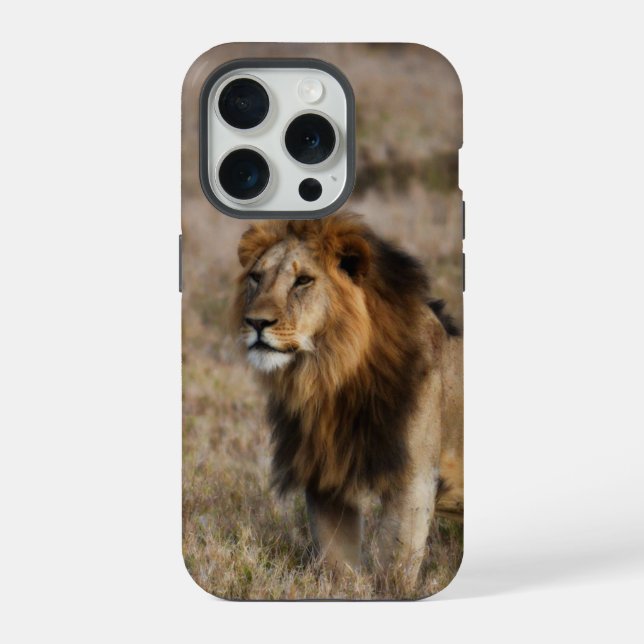 Capa de iPhone 7 Leão Africano na Grama (Verso)