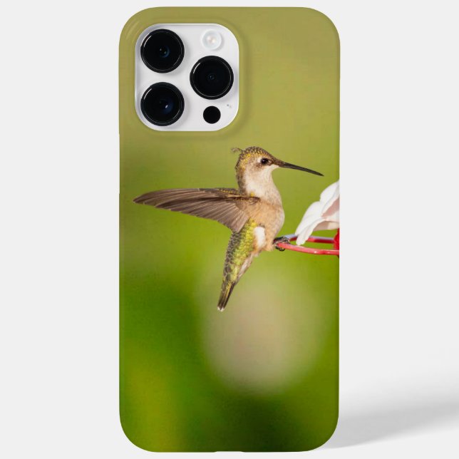Capa de iPhone de Beija-Flor-de-Pescoço-Rubro #108 (Verso)