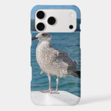 Capa de iPhone gaivota pelo mar Ave