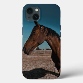 Capa de iPhone / iPad