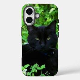 Capa de iPhone / iPad Gata Preta
