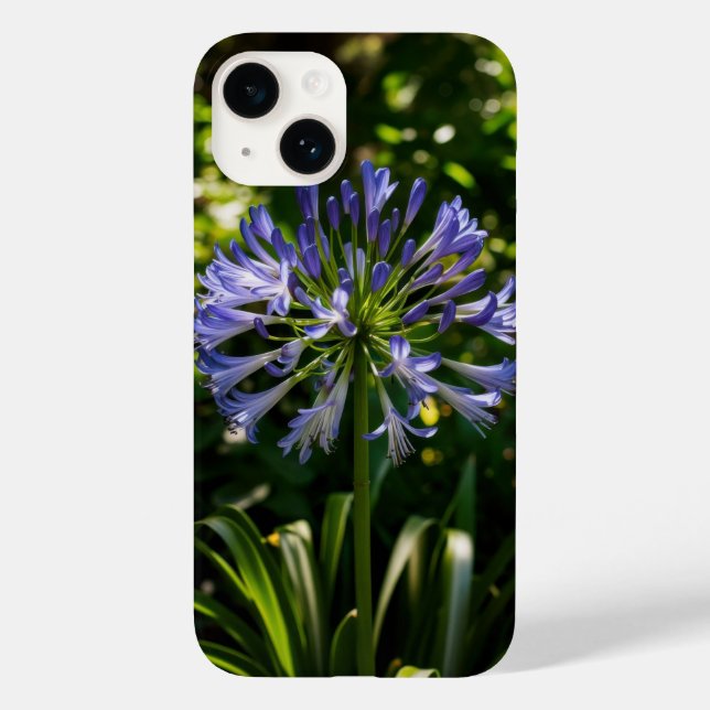 Capa de telefone Azul de Flores Agapanthus (Verso)