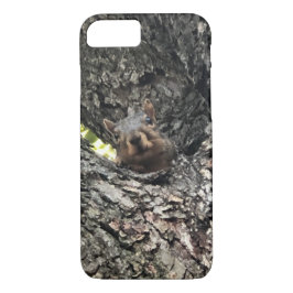 Capa de telefone de esquilo