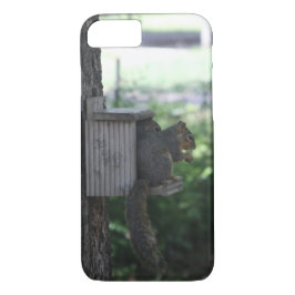 Capa de telefone de esquilo