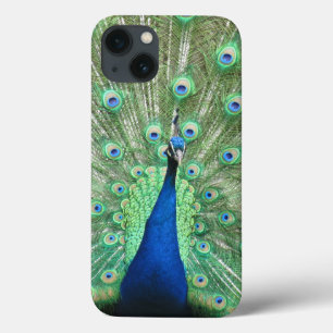capa de telefone - Pavão Orgulhoso