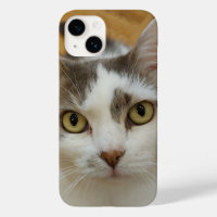 Capa de telefone personalizada do iPhone 12 Case-M