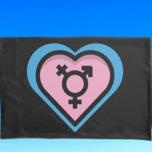 Capa de Travesseiro Coração do Orgulho Trans
