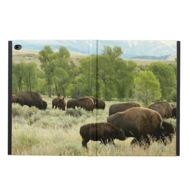 Capa Para iPad Air 2 Wyoming Bison Nature (Exterior)