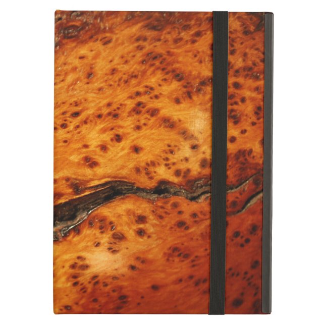 Capa Para iPad Air CASO EXÓTICO do iPAD da IMAGEM do ZIMBRO do JACARÉ (Frente fechado)