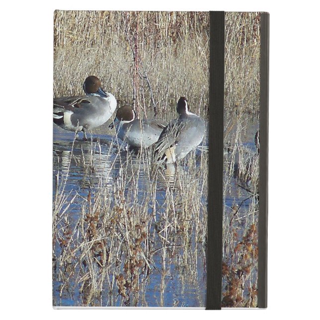 Capa Para iPad Air iCase de Powis dos patos (Frente fechado)