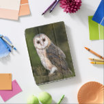 Capa Para iPad Air Western Barn Owl<br><div class="desc">Western Barn Owl - Pássaro da Floresta Bonita de Pintura por Aquarela</div>