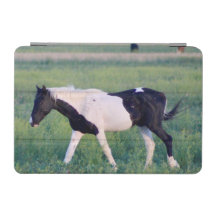 CAVALOS SELVAGENS DE UTAH IPAD CASE PINTOS
