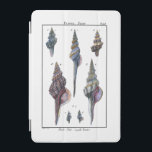 Capa Para iPad Mini Coloridos Sete Caivotas<br><div class="desc">O artista Denis Diderot é talentoso e conhecido por suas imagens da vida no mar excelente. Nesta imagem vívida, ele captura Sete conchas coloridas em seus estilos mais naturais e únicos. Conchas são muitas vezes empilhadas e vêm em todas as formas e tamanhos. Pegue seu produto de concha hoje e...</div>