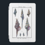 Capa Para iPad Mini Coloridos Sete Caivotas<br><div class="desc">O artista Denis Diderot é talentoso e conhecido por suas imagens da vida no mar excelente. Nesta imagem vívida, ele captura Sete conchas coloridas em seus estilos mais naturais e únicos. Conchas são muitas vezes empilhadas e vêm em todas as formas e tamanhos. Pegue seu produto de concha hoje e...</div>
