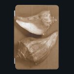 Capa Para iPad Mini Conchas Sensuais<br><div class="desc">Renee W. Stramel captura essas conchas em um belo tom de sepia. Esta obra de arte safra é uma adição perfeita a qualquer amante de anêmonas marinhos. Pegue seu impressão de arte hoje em dia em seu produto.</div>