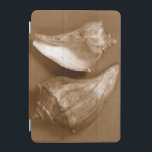 Capa Para iPad Mini Conchas Sensuais<br><div class="desc">Renee W. Stramel captura essas conchas em um belo tom de sepia. Esta obra de arte safra é uma adição perfeita a qualquer amante de anêmonas marinhos. Pegue seu impressão de arte hoje em dia em seu produto.</div>