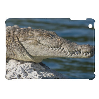 Capa Para iPad Mini Crocodilo Americano