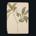 Capa Para iPad Mini Painel I do Deco do Cobalto<br><div class="desc">Painel I do Cobalt Deco por Chariklia Zarris</div>