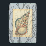 Capa Para iPad Mini Seashell e Ramais de Árvores<br><div class="desc">Jennifer Goldberger tem uma coleção incrível de arte capturando as joias do oceano. Nesta bela e clássica pintura náutica,  esta concha é o objeto principal com ramos únicos em árvore no fundo. Obtenha esta pintura translúcida em seus produtos favoritos hoje!</div>