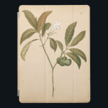Capa Para iPad Pro Painel I do Deco do Cobalto<br><div class="desc">Painel I do Cobalt Deco por Chariklia Zarris</div>