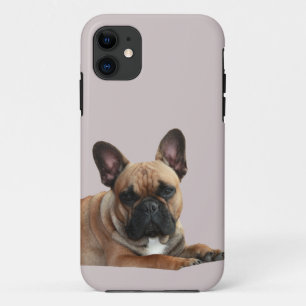 CAPA PARA iPhone 11 