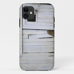 Capa Para iPhone 11 A colagem do cavalo dirige para fora a janela do