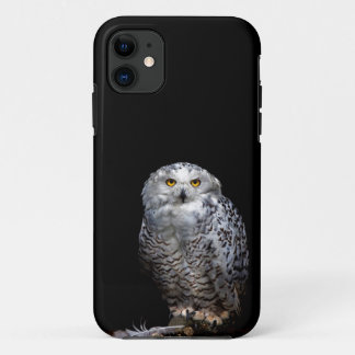 Capa Para iPhone 11 A coruja nevado está no telefone para você!