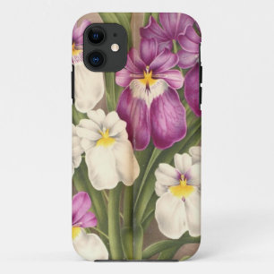 Capa Para iPhone 11 A orquídea botânica floresce o vintage floral