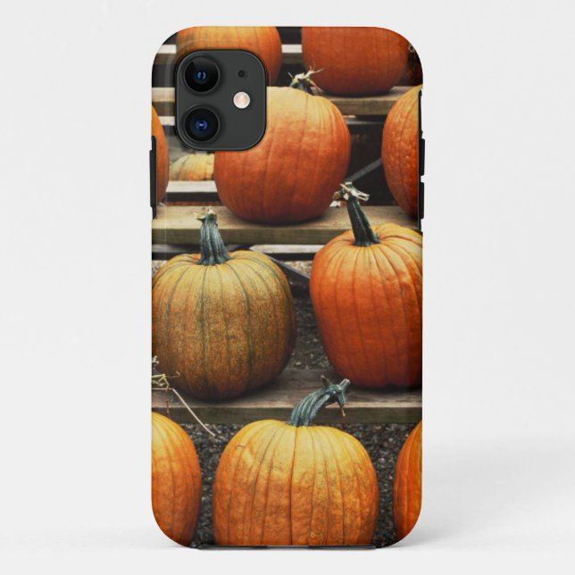 Capa Para iPhone 11 Abóboras de outono (Verso)
