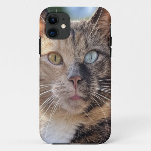 Capa Para iPhone 11 Adicionar Personalização de Foto de Cat
