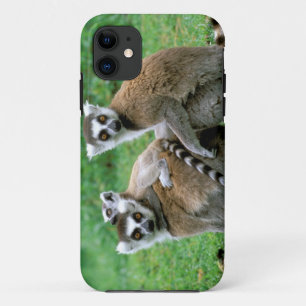 Capa Para iPhone 11 África, Madagascar, Antananarivo, Tsimbazaza