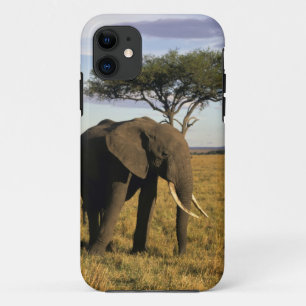 Capa Para iPhone 11 África, Quênia, Maasai Mara. Um elefante no