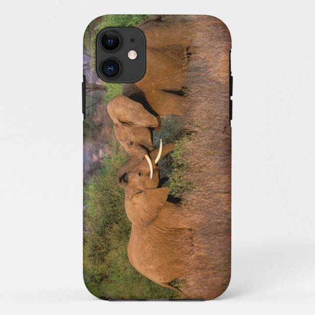 Capa Para iPhone 11 África, Quênia, Samburu. Desafio dos elefantes (Verso)