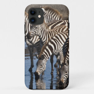 Capa Para iPhone 11 África. Tanzânia. Zebras bebendo em Ndutu