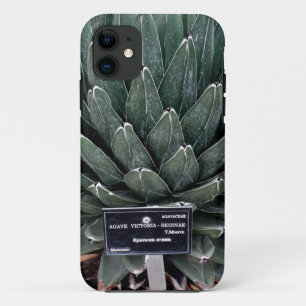 Capa Para iPhone 11 Agave Victoria Photo iPhone SE + iPhone 5/5S
