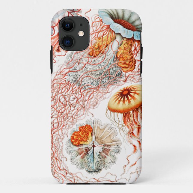 Capa Para iPhone 11 Água-viva, Disco de Ernst Haeckel (Verso)