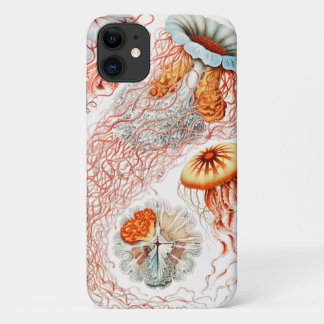 Capa Para iPhone 11 Água-viva, Disco de Ernst Haeckel