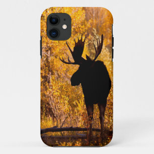 Capa Para iPhone 11 Alce (Alces Alces) Touro em Salgueiros Dourados 2