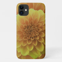 Amarelo Dahlia