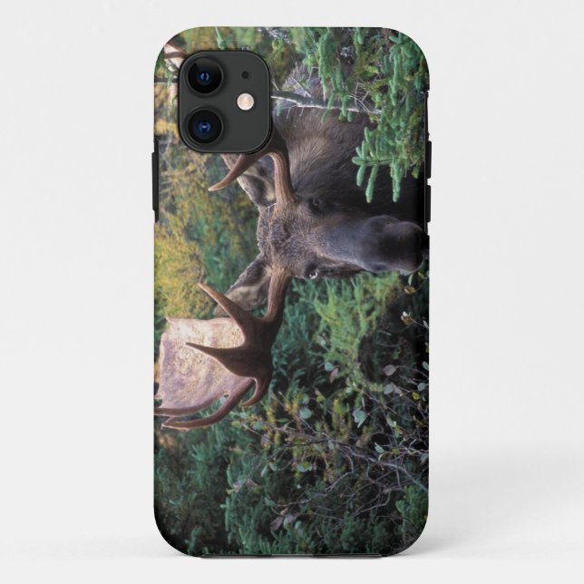 Capa Para iPhone 11 América do Norte, Canadá, Nova Escócia, Cabo Breto (Verso)