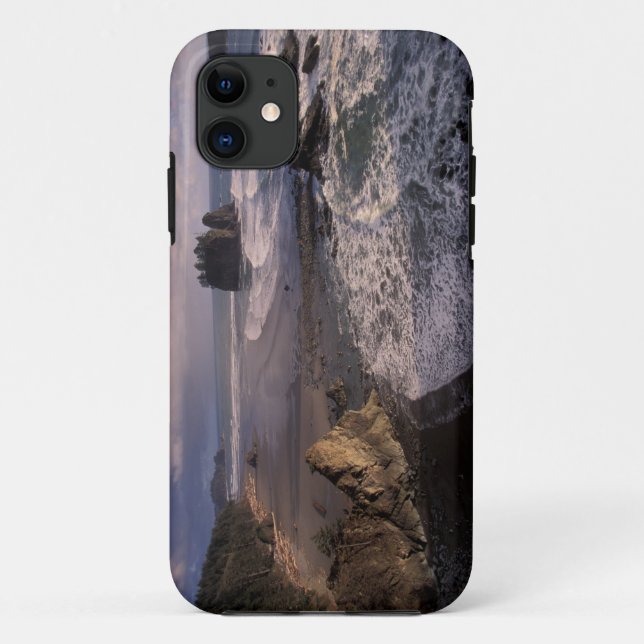 Capa Para iPhone 11 América do Norte, EUA, Washington, Olympic NP, (Verso)